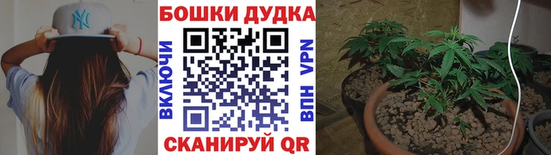 Бошки марихуана конопля Балей